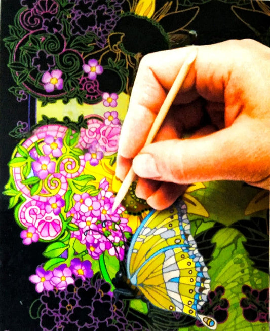 Picture Etch: Enchanting Nature – Hummingbirds (Beautiful Etch by Hinkler)