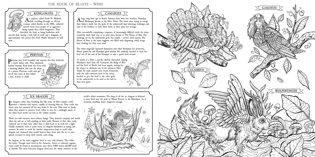 The Book of Beasts: Color and Discover – A Mythical Journey Illustrated by Angela Rizza | Written & Edited by Jonny Marx