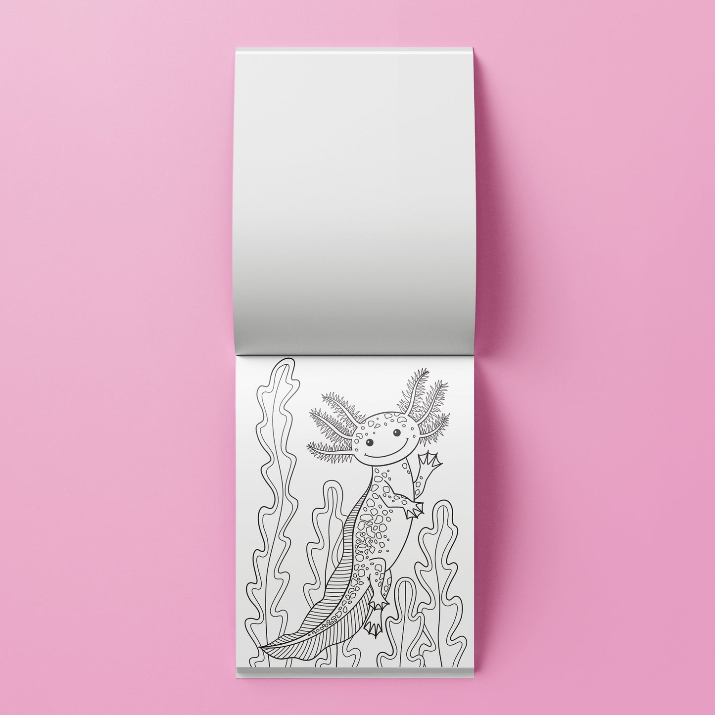 Kaleidoscope Colouring Kit: Axolotls