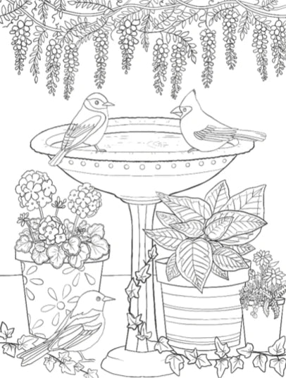 Creative Pages Coloring Book Garden Bliss