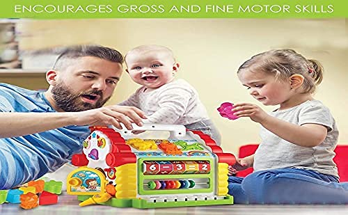 HOLA House Party Educational Toys, Baby House with Shape Sorters, Musical Piano Keys, Counting Math Beads ,Blocks Activity Cube ,Play Cube for Kids - 739