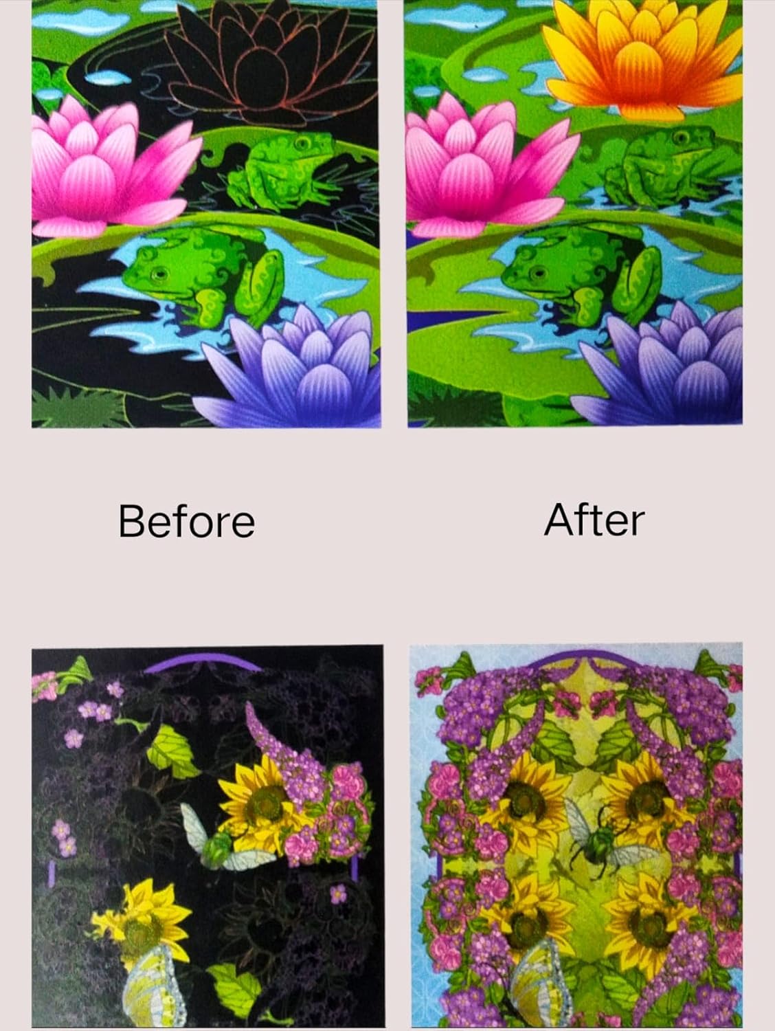 Picture Etch: Enchanting Nature – Hummingbirds (Beautiful Etch by Hinkler)