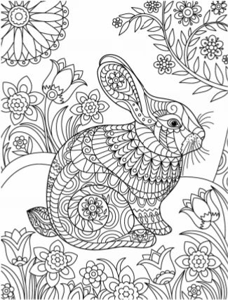Backyard Bliss Creative Pages Coloring Kit