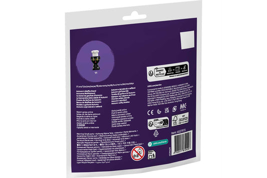 LEGO 30696 Friends Autumn's Waffle Stand Ecobag